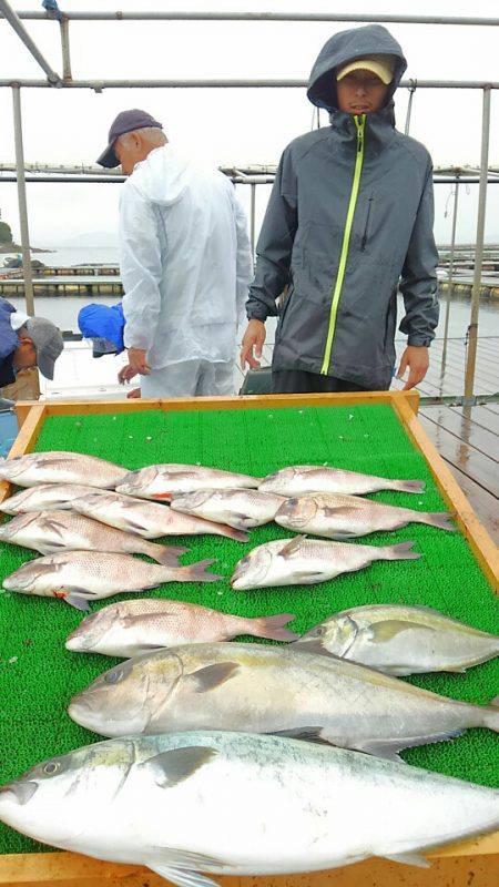 海の釣堀 海恵 釣果