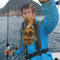 ARCADIAⅡ (アルカディアⅡ) 釣果