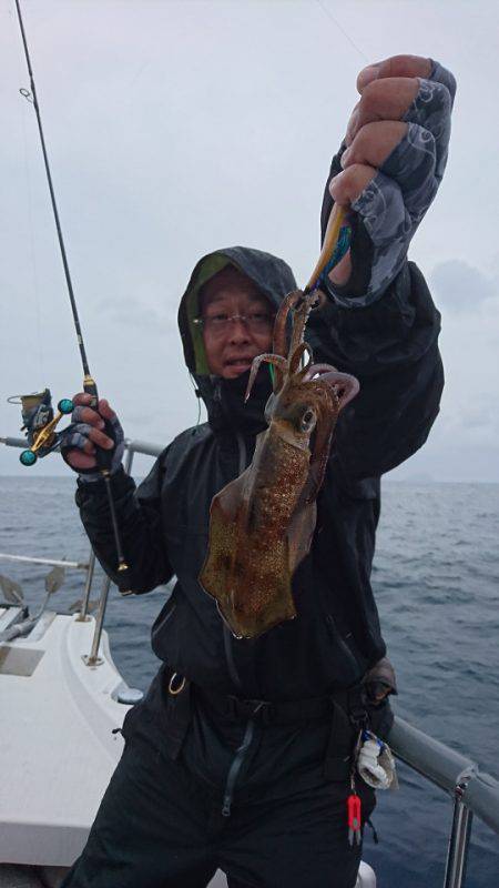 ARCADIAⅡ (アルカディアⅡ) 釣果