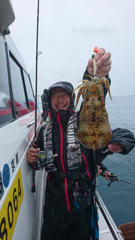 ARCADIAⅡ (アルカディアⅡ) 釣果