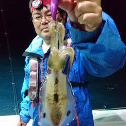 あみや渡船 JIGBOY 釣果