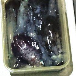 あみや渡船 JIGBOY 釣果