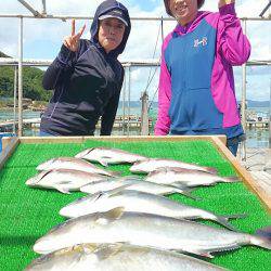 海の釣堀 海恵 釣果