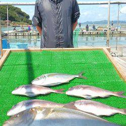海の釣堀 海恵 釣果