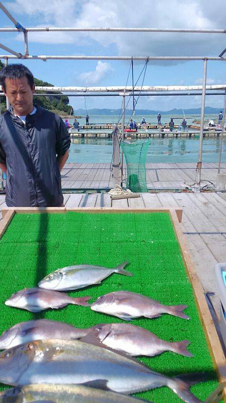海の釣堀 海恵 釣果