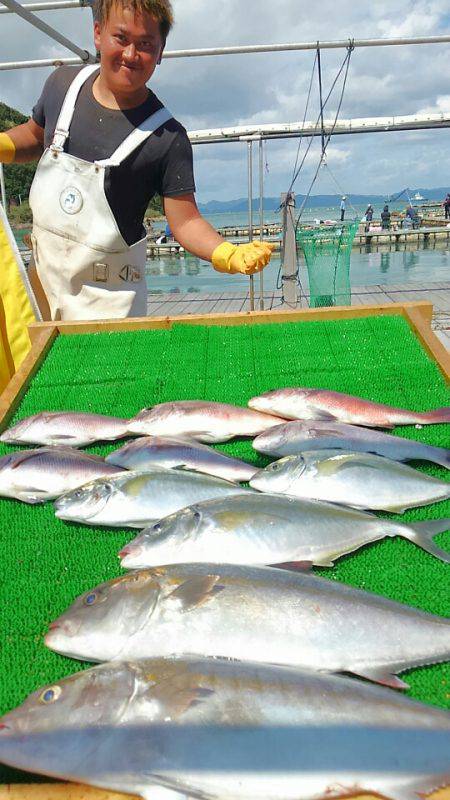 海の釣堀 海恵 釣果