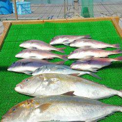 海の釣堀 海恵 釣果