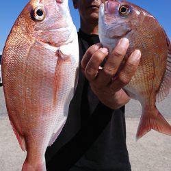 第三共栄丸 釣果