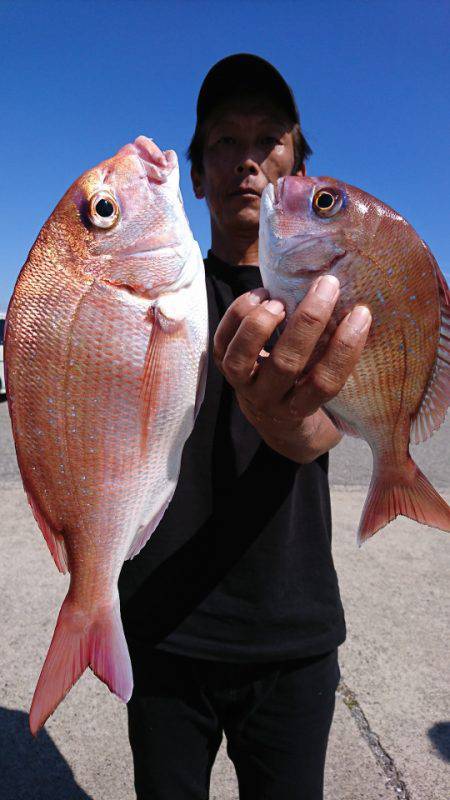 第三共栄丸 釣果