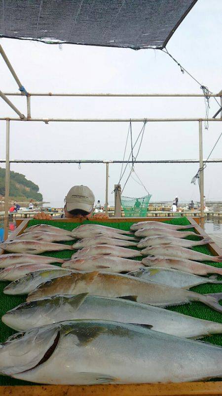 海の釣堀 海恵 釣果