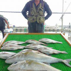 海の釣堀 海恵 釣果