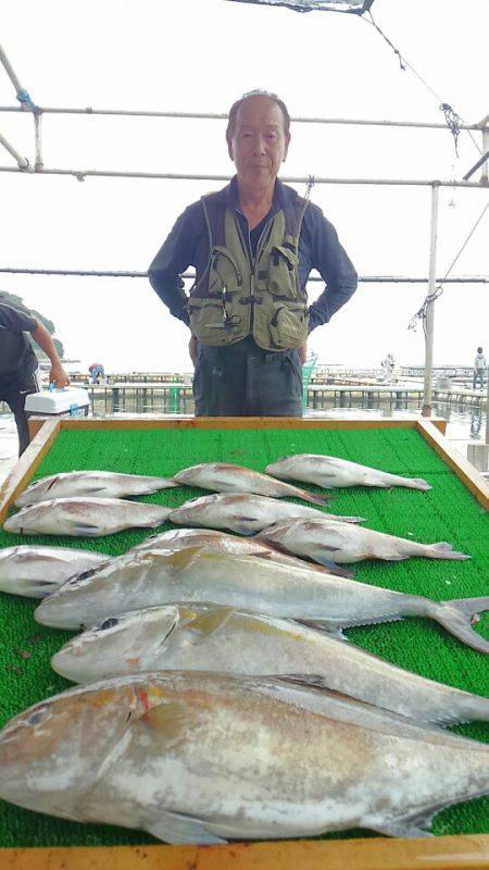 海の釣堀 海恵 釣果