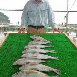 海の釣堀 海恵 釣果