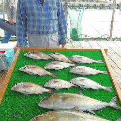 海の釣堀 海恵 釣果