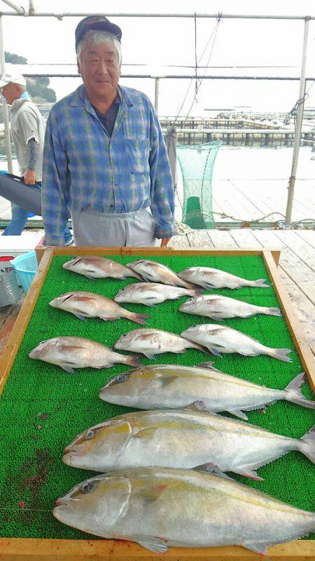 海の釣堀 海恵 釣果