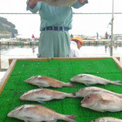 海の釣堀 海恵 釣果