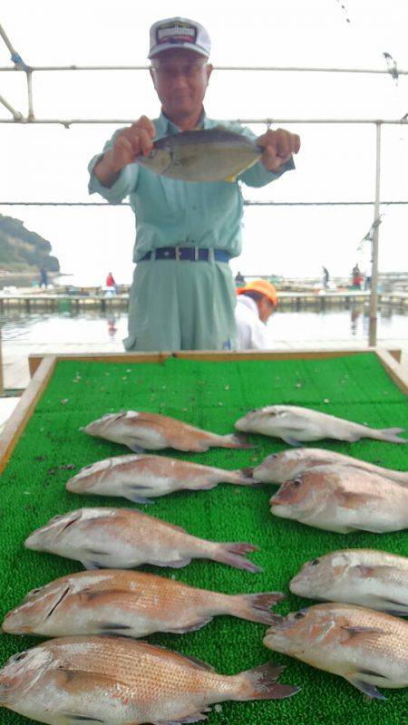 海の釣堀 海恵 釣果