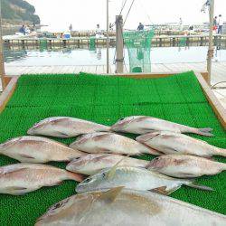 海の釣堀 海恵 釣果