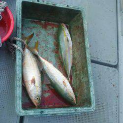 サンマリン 釣果