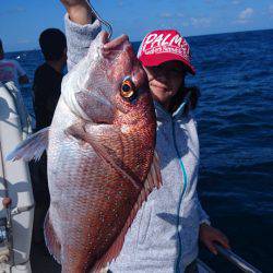 ARCADIAⅡ (アルカディアⅡ) 釣果