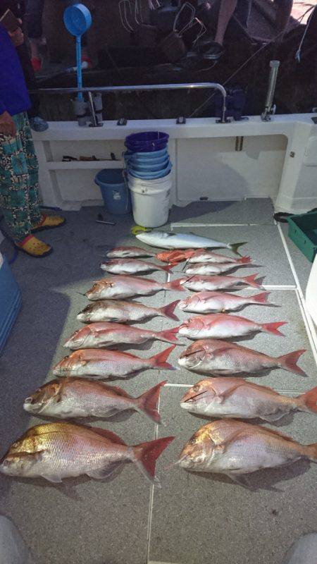 ARCADIAⅡ (アルカディアⅡ) 釣果