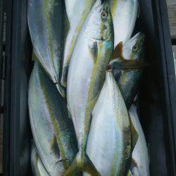 サンマリン 釣果