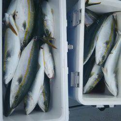 サンマリン 釣果