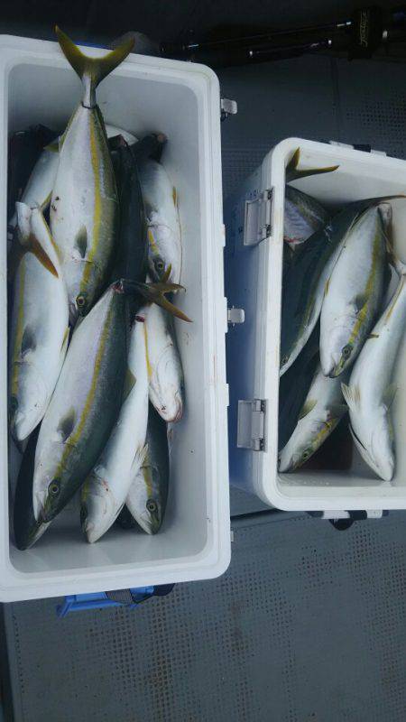 サンマリン 釣果