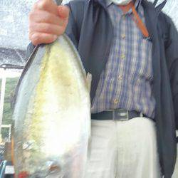 海の釣堀 海恵 釣果