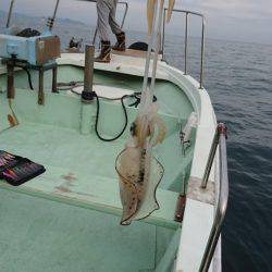 あみや渡船 JIGBOY 釣果