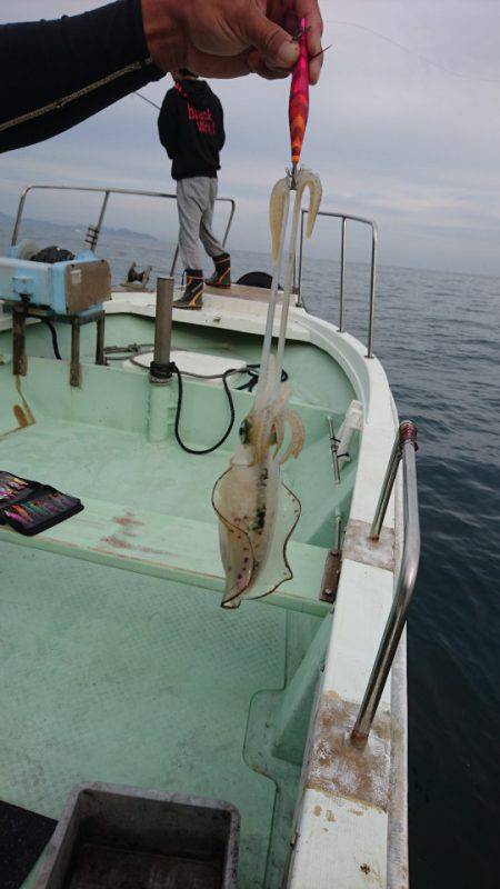 あみや渡船 JIGBOY 釣果