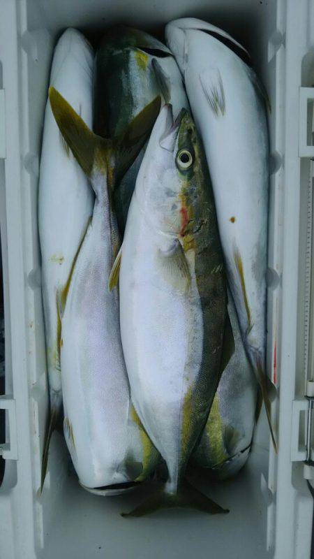 サンマリン 釣果