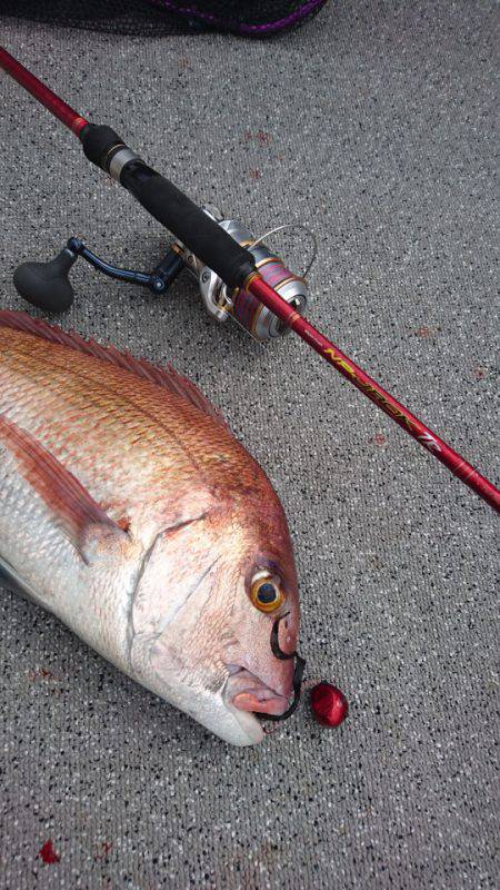 ARCADIAⅡ （アルカディアⅡ） 釣果