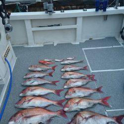 ARCADIAⅡ （アルカディアⅡ） 釣果