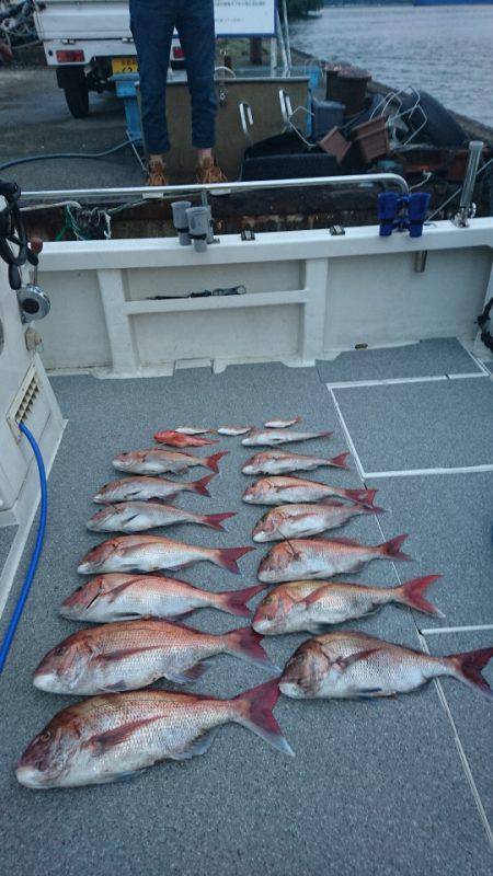 ARCADIAⅡ （アルカディアⅡ） 釣果…