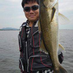 アマテラス 釣果