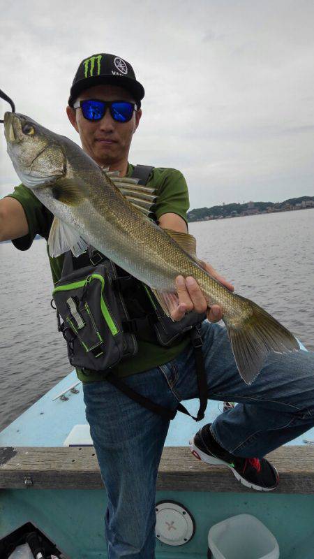 アマテラス 釣果