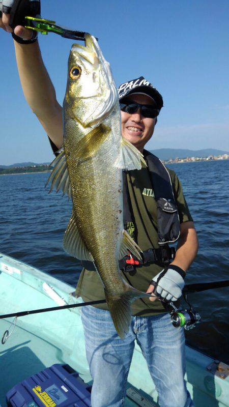 アマテラス 釣果