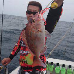 ARCADIAⅡ (アルカディアⅡ) 釣果