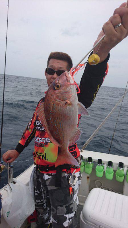 ARCADIAⅡ (アルカディアⅡ) 釣果