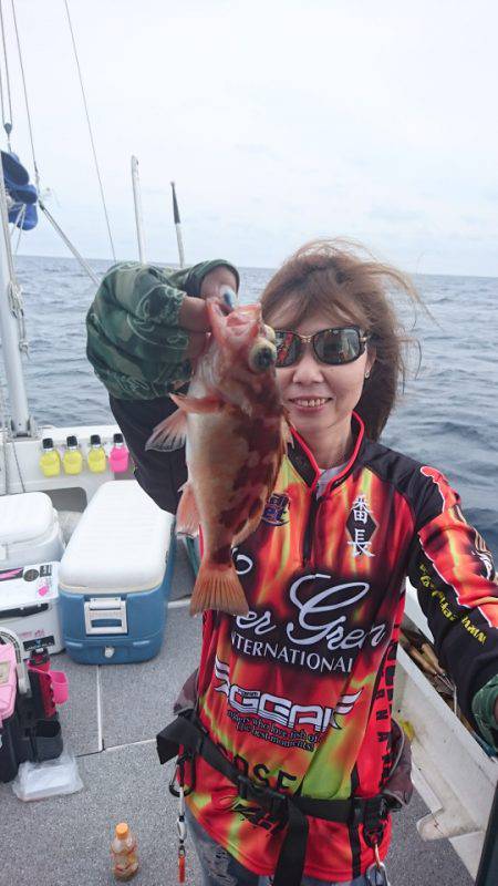 ARCADIAⅡ (アルカディアⅡ) 釣果