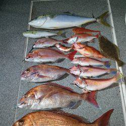 ARCADIAⅡ (アルカディアⅡ) 釣果