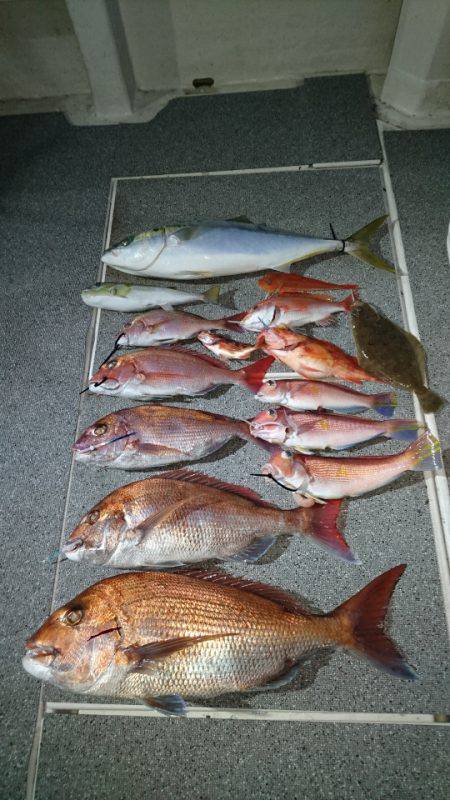 ARCADIAⅡ (アルカディアⅡ) 釣果