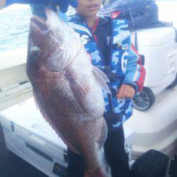 ブルドック 釣果