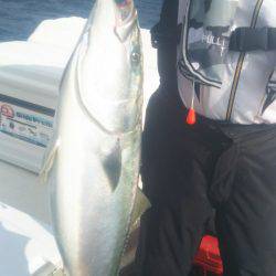 ブルドック 釣果