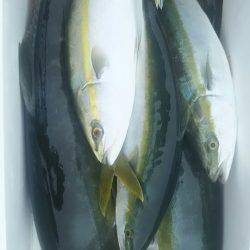 サンマリン 釣果