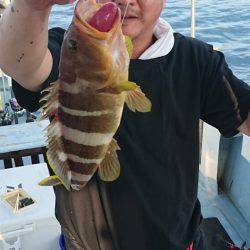 あみや渡船 JIGBOY 釣果