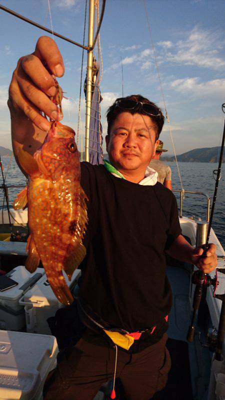 あみや渡船 JIGBOY 釣果