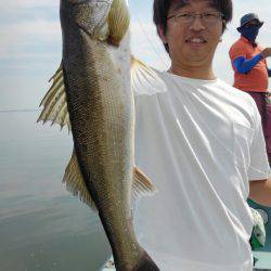 アマテラス 釣果