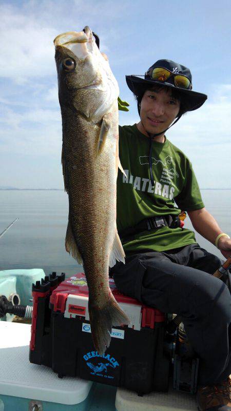 アマテラス 釣果